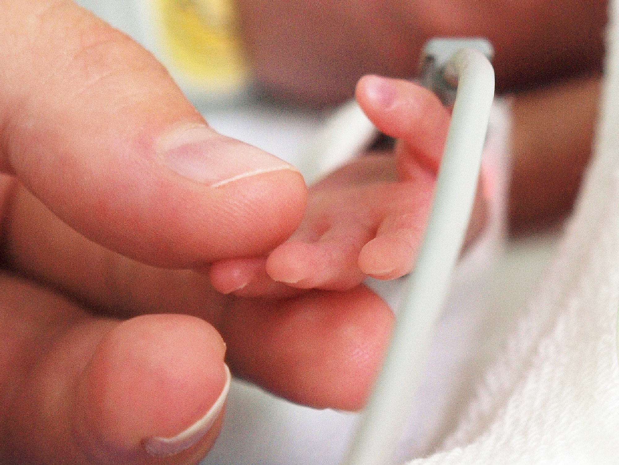 An adults fingers touching a newborn baby&#x27;s hand