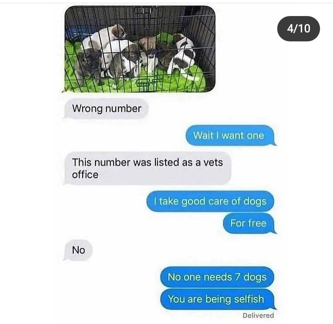 wrong number text of a picture of puppies