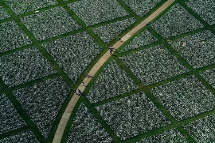 People walk through a path across a lawn, where hundreds of thousands of white flags are planted