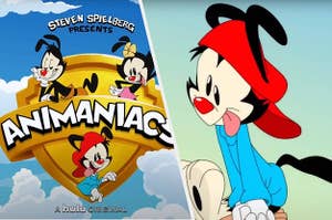 The Animaniacs in the Warner Brothers logo side by side with Wacko 