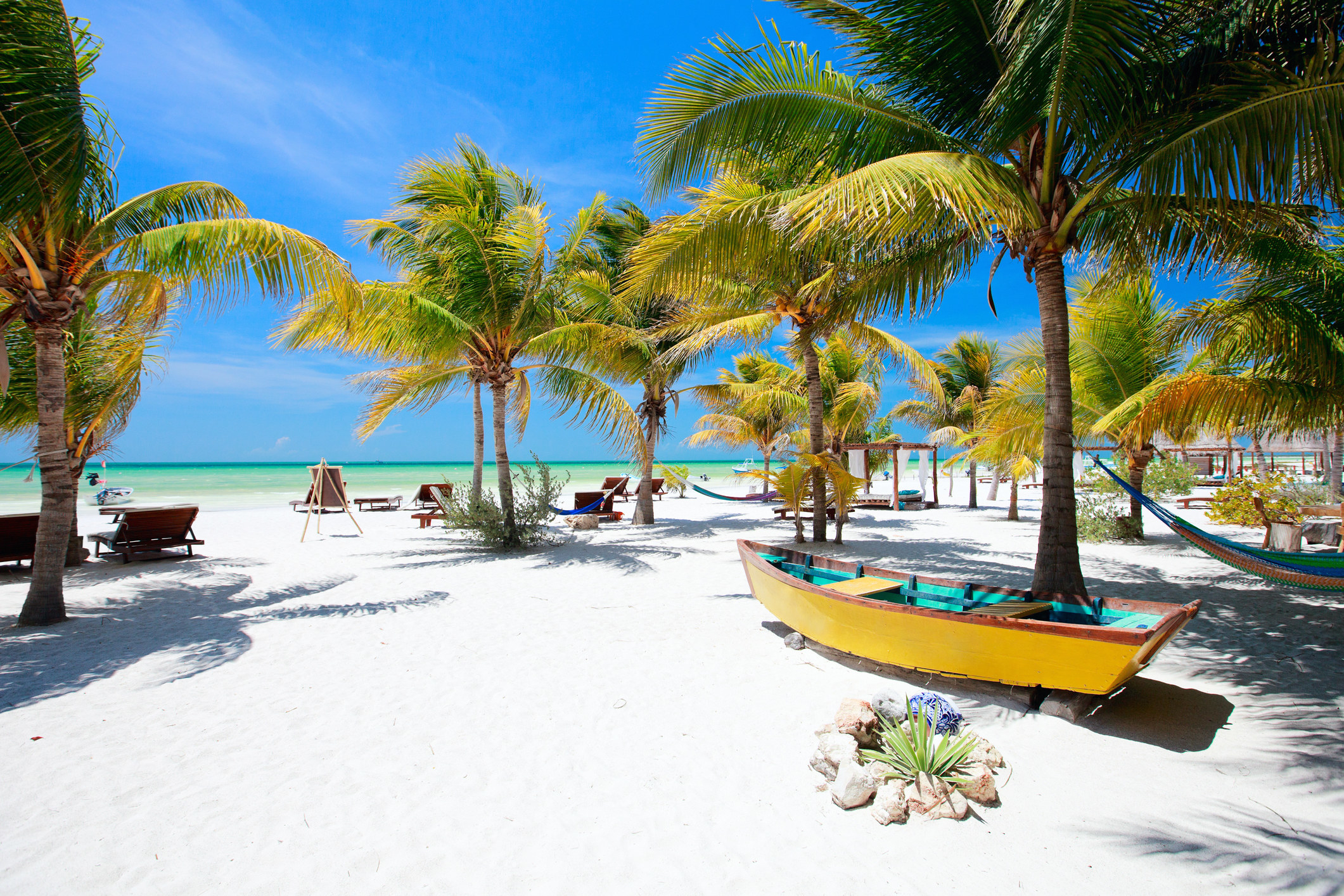 A white sand tropical beach with palm trees.