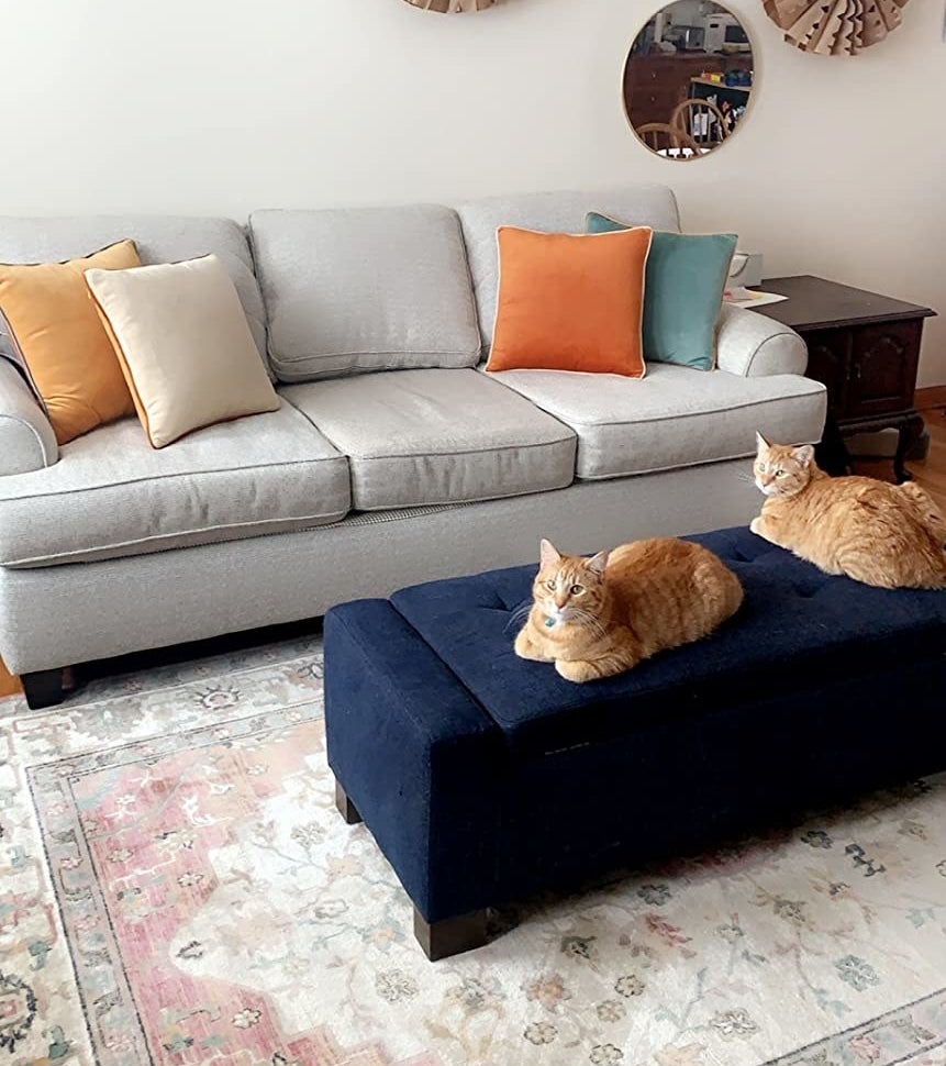 a reviewer&#x27;s grey couch with the goldish-yellow, off-white, burnt orange, and light blue pillow covers