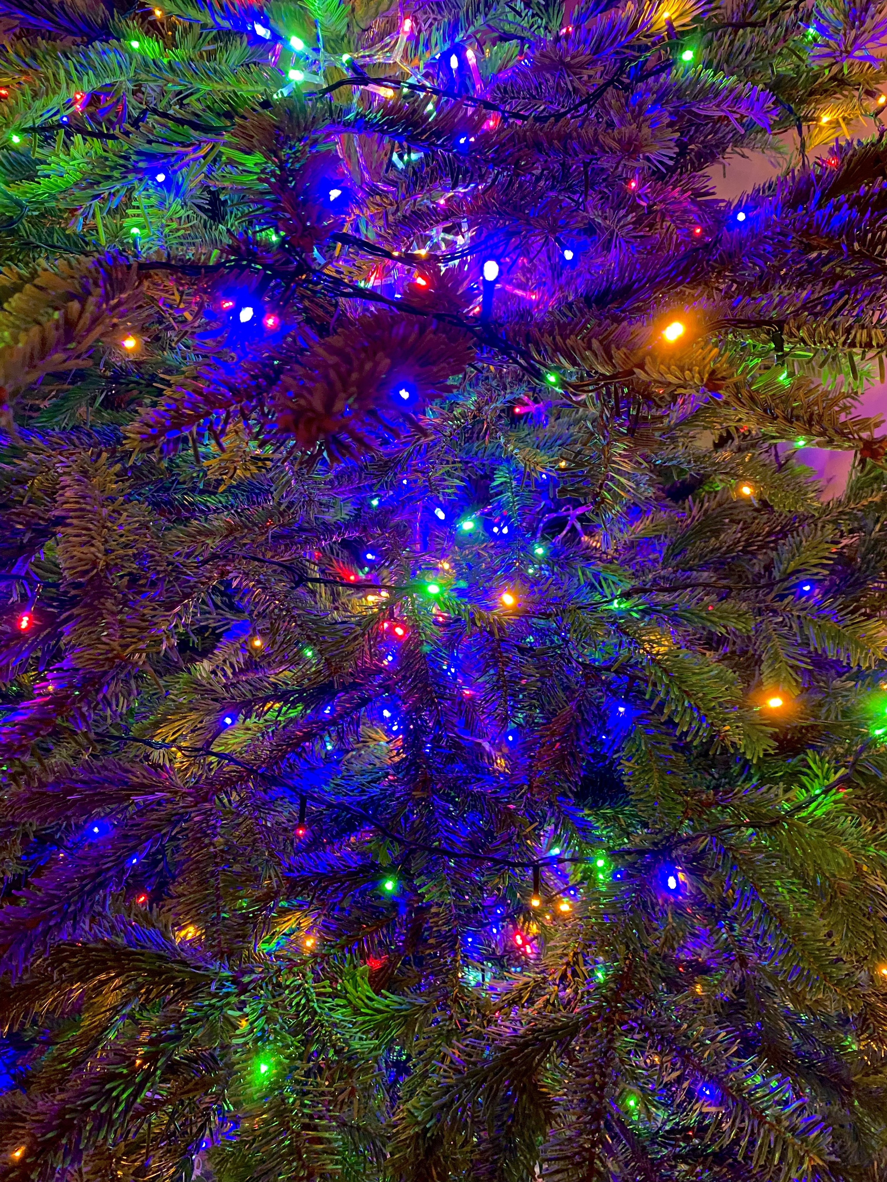 close up of the lit tree