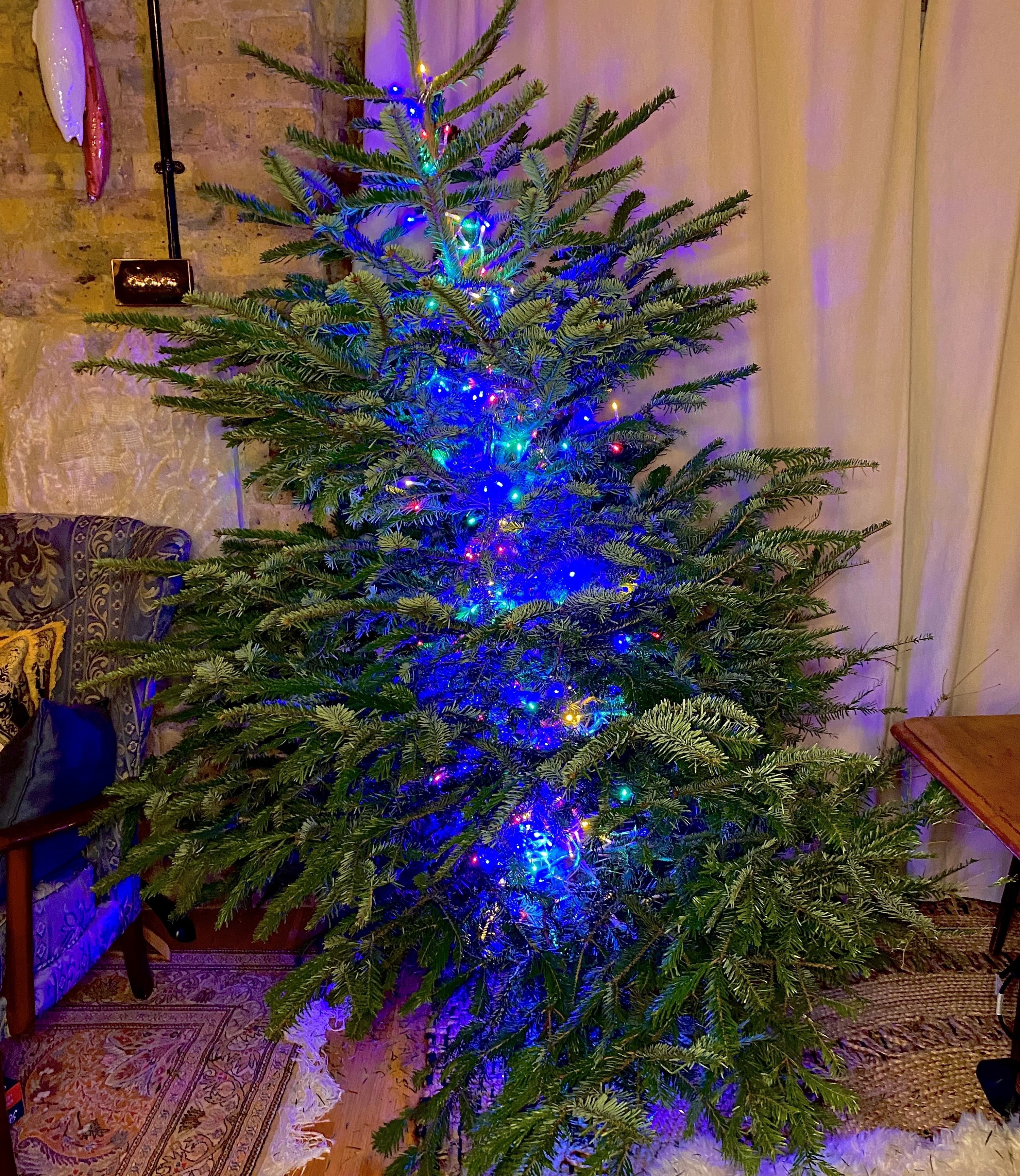 a christmas tree with lights in just the centre of the tree