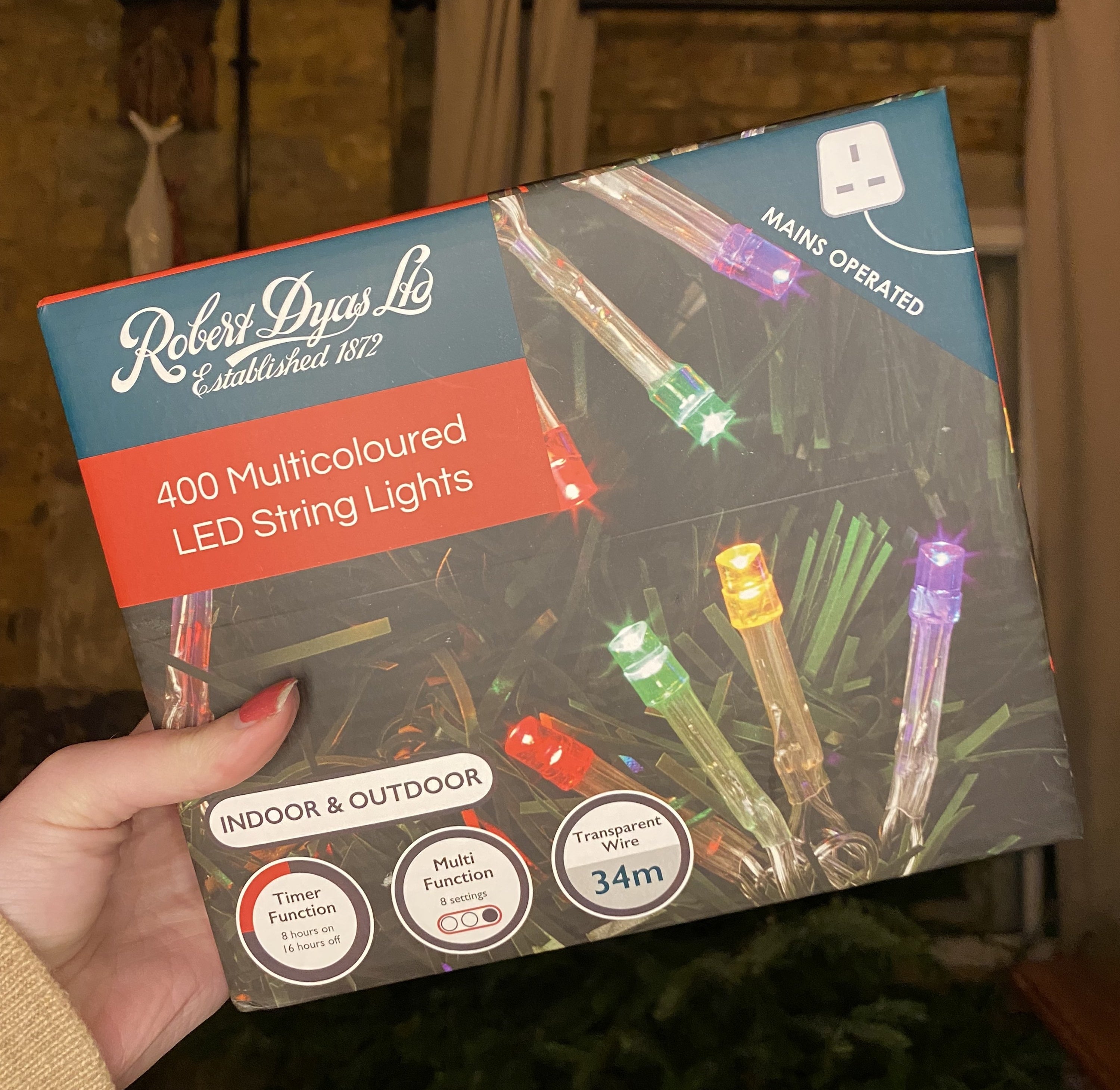 emma holding  box of 400 multicoloured LED string lights