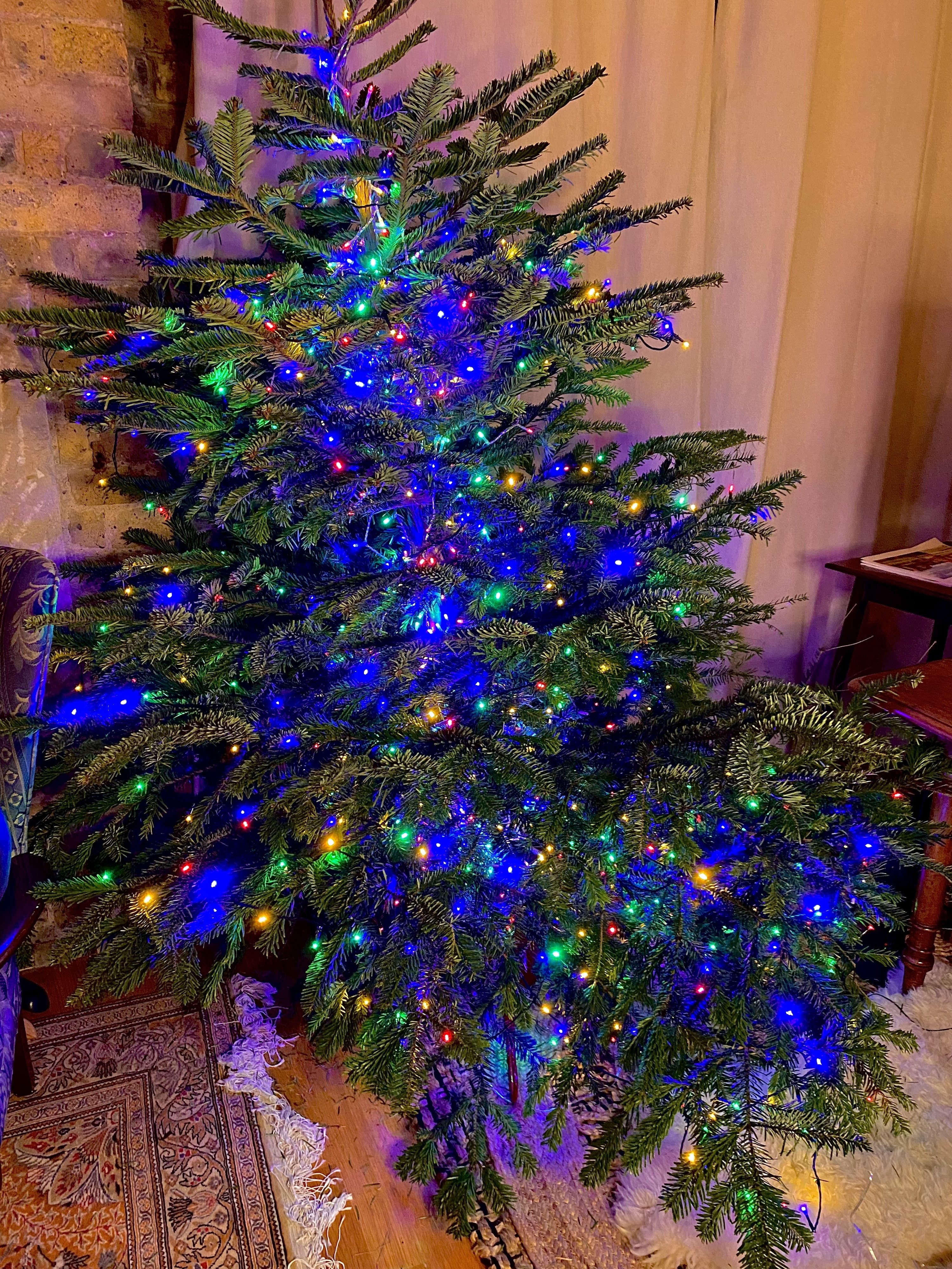a brightly lit Christmas tree