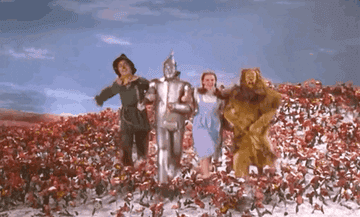 dorothy, the scarecrow, lion and the tin man skipping through a field