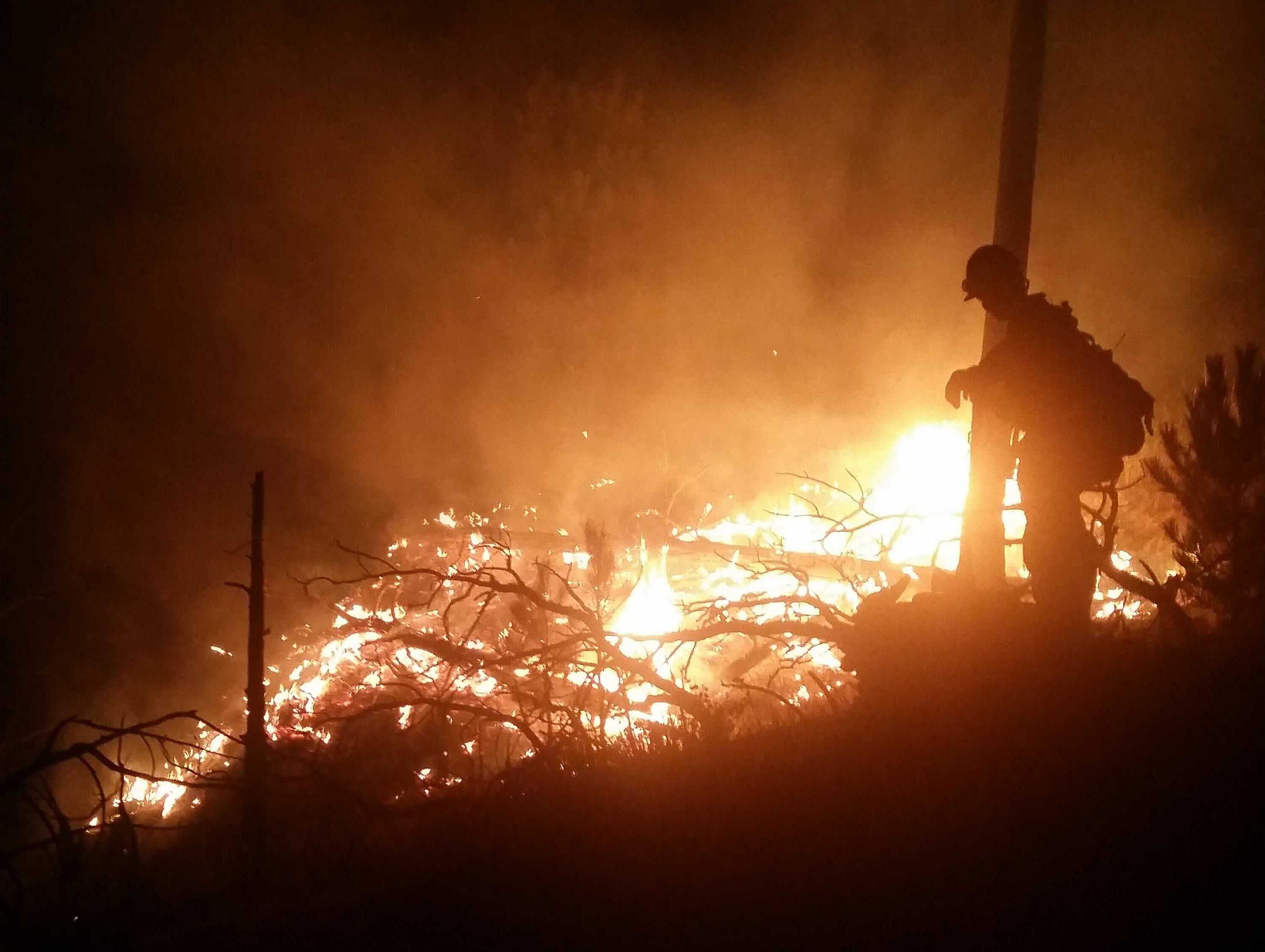 A man stands to the far right as a forest floor is ablaze in front of him 