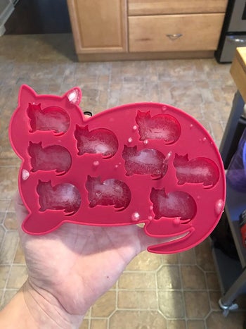 A cat ice cube tray