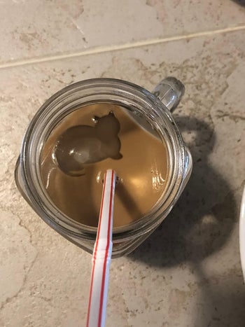 a cat ice cube in a drink