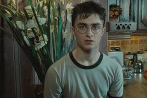 Harry Potter stares into the camera while sitting in front of a bouquet of lilies 