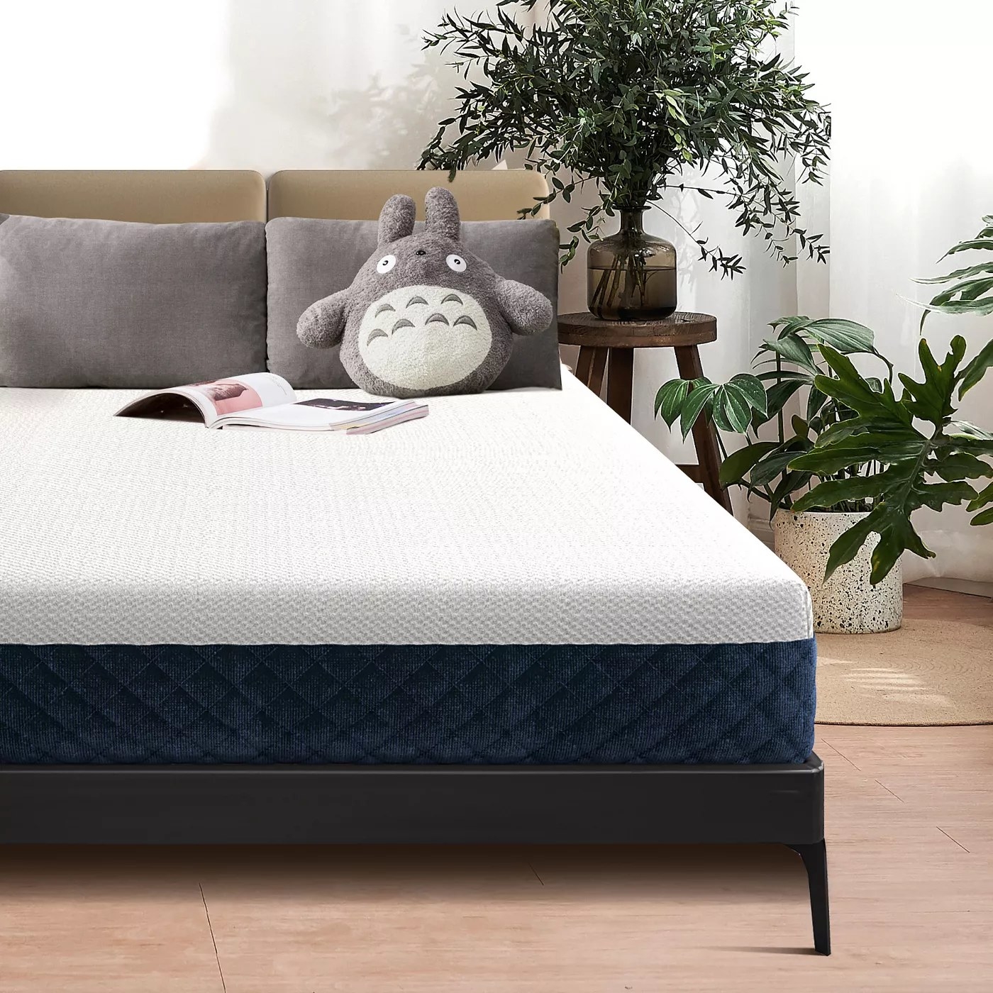 The blue and white mattress