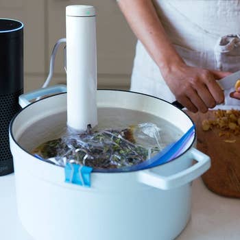 The Joule attached to a white pot filled with water and holding a plastic bag filled with meat
