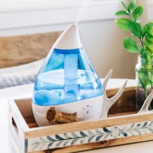 blue droplet humidifier in a small tray next to a plant