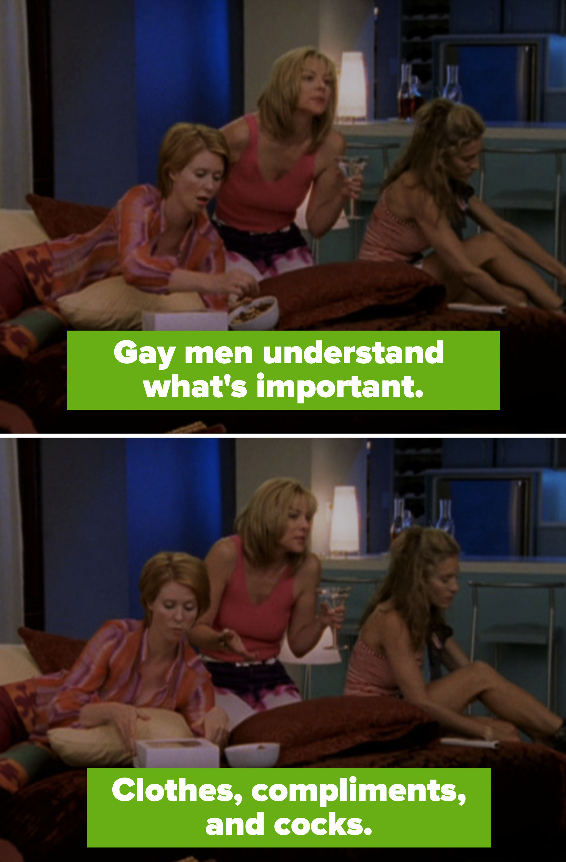 Samantha in her apartment telling Carrie and Miranda: &quot;Gay men understand what&#x27;s important. Clothes, compliments, and cocks&quot;