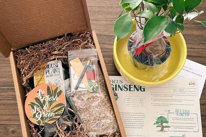The Plant of the Month Club kit containing a plant, pot, care instructions, and growing supplies