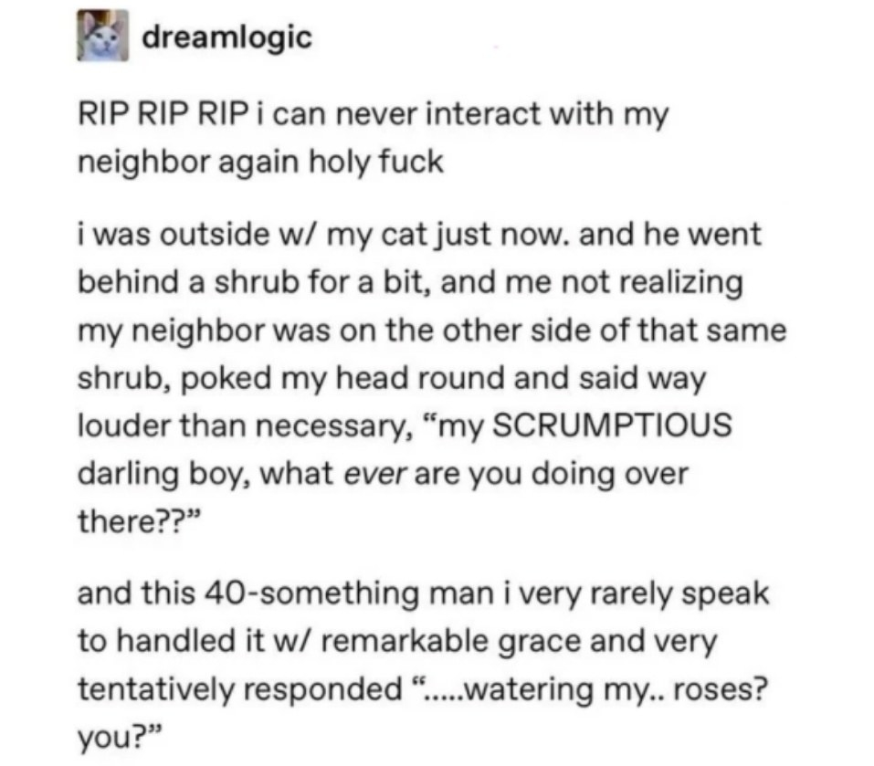 person who thought they were talking to a cat but were talking to their neighbor