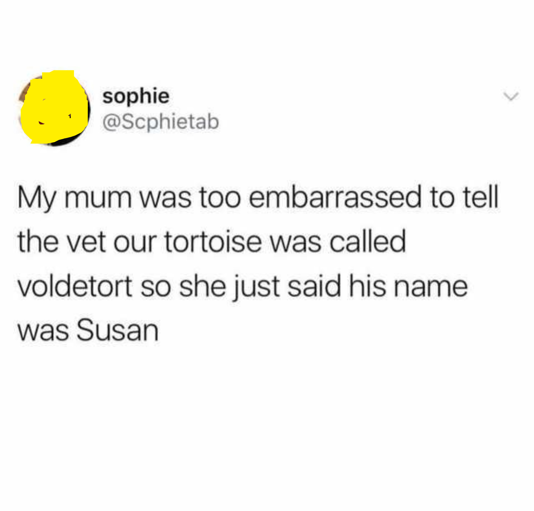 tweet reading my mum was too embarassed to tell the vet our tortoise was called voldetort so she just said his name was susan