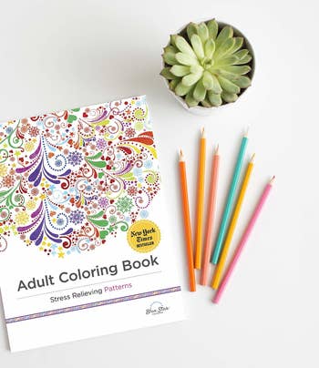 the coloring books laying closed beside colored pencils and a succulent