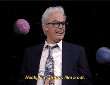 A man with grey hair in a suit saying &quot;Heck, I&#x27;m curious like a cat&quot;
