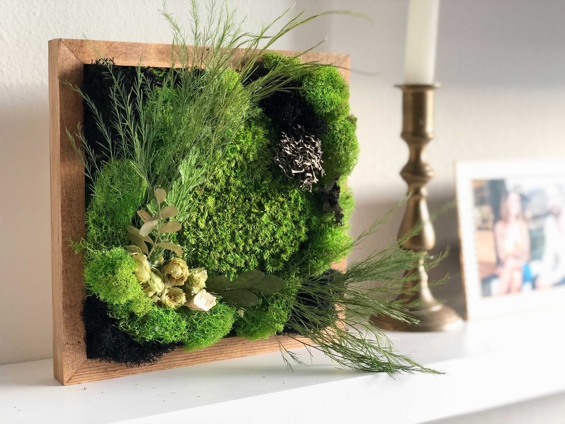 wooden frame filled with moss and leaves