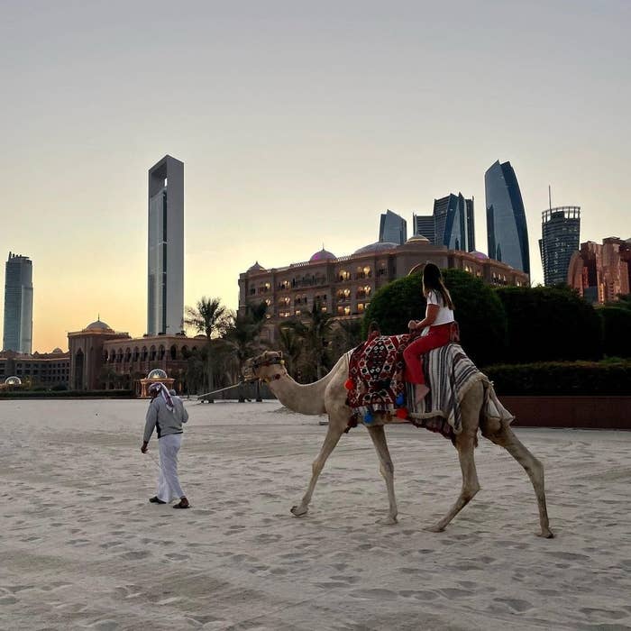 a camel