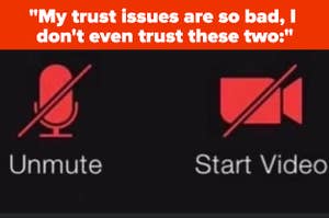 The "Unmute" and "Don't Show Video" icons with text reading "My trust issues are so bad, I don't even trust these two:"