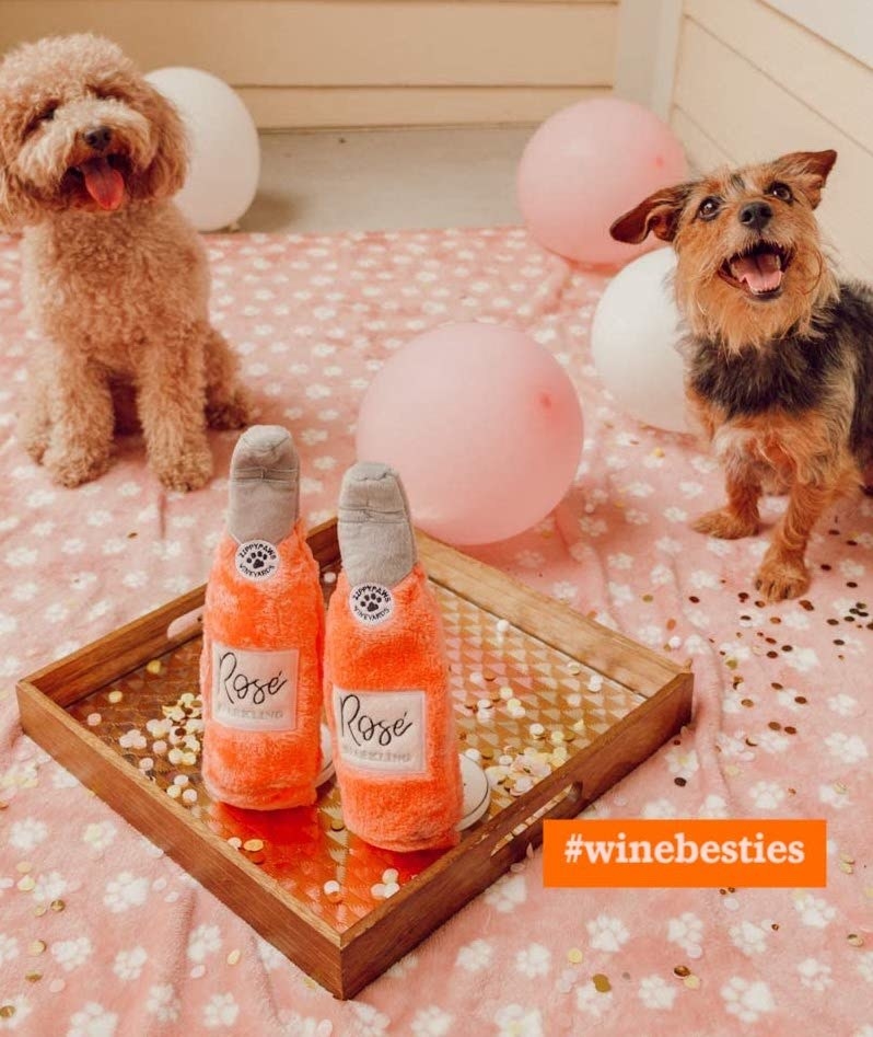 A tray with two stuffie bottles with labels reading &quot;rosé&quot;  sit in between two dogs, all on a fleece blanket featuring pawprints all over