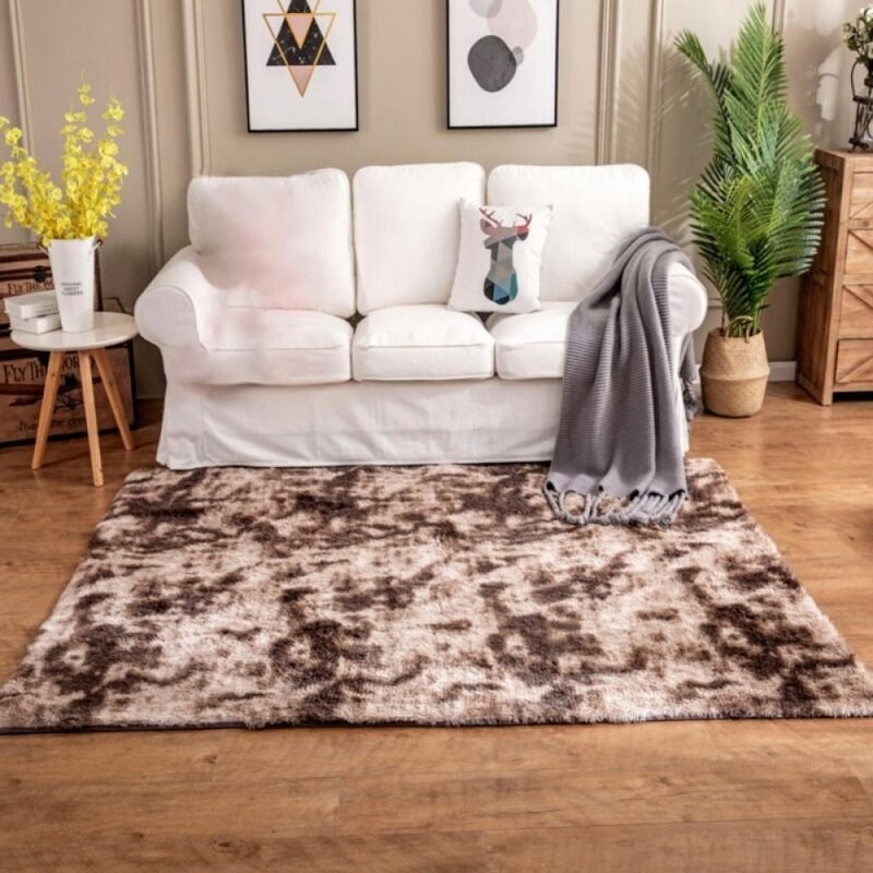 The coffee rug in a living room