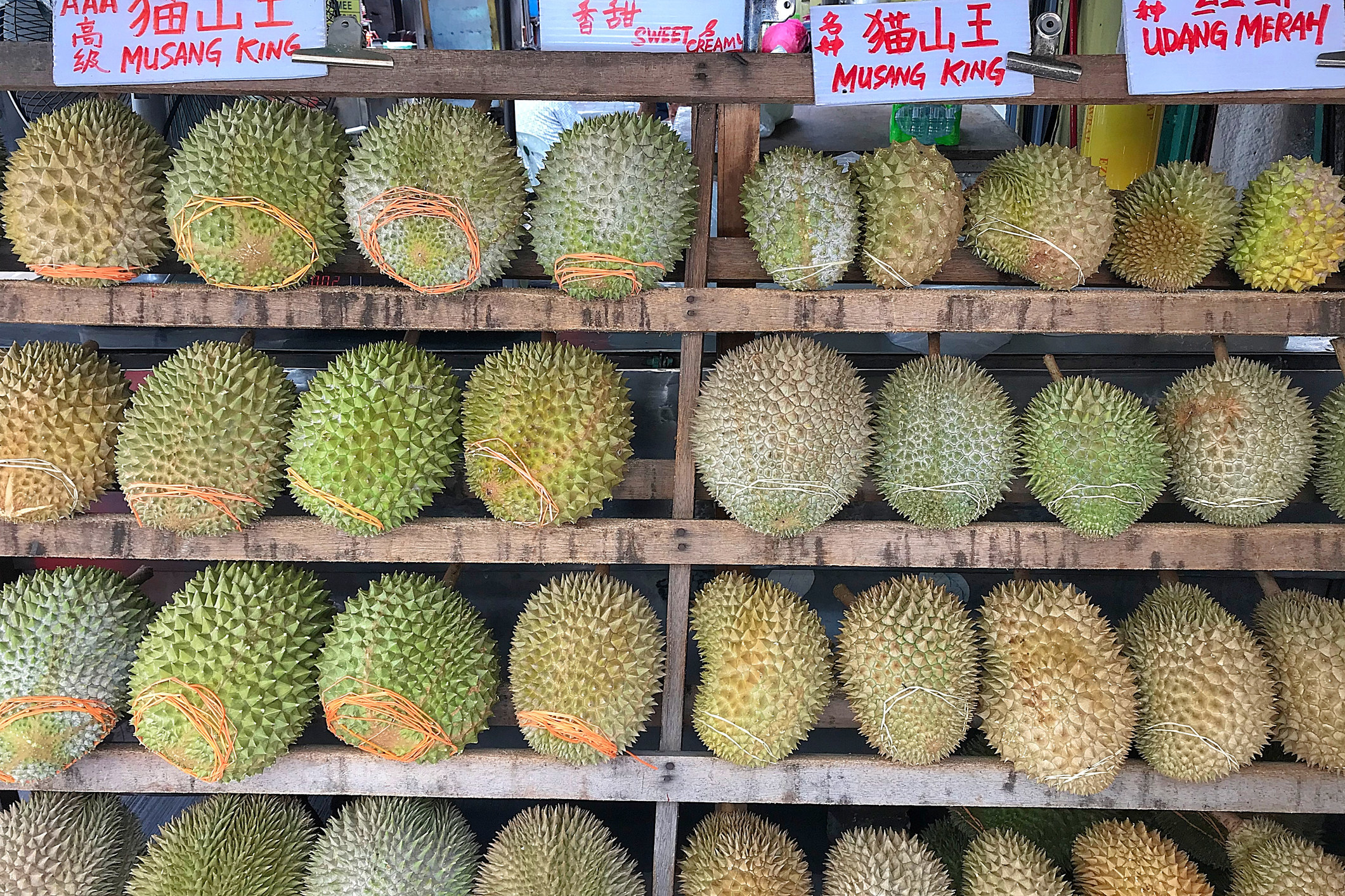 A street stall lined with durian.