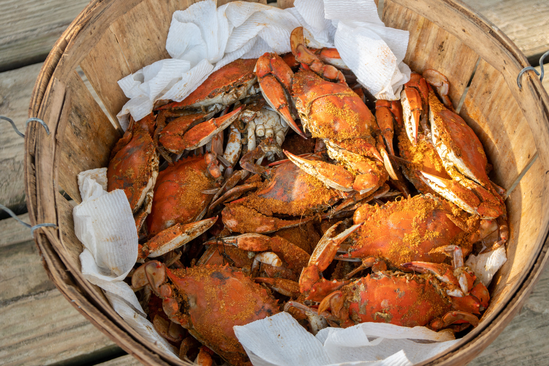 A bucket of boiled blue crabs.