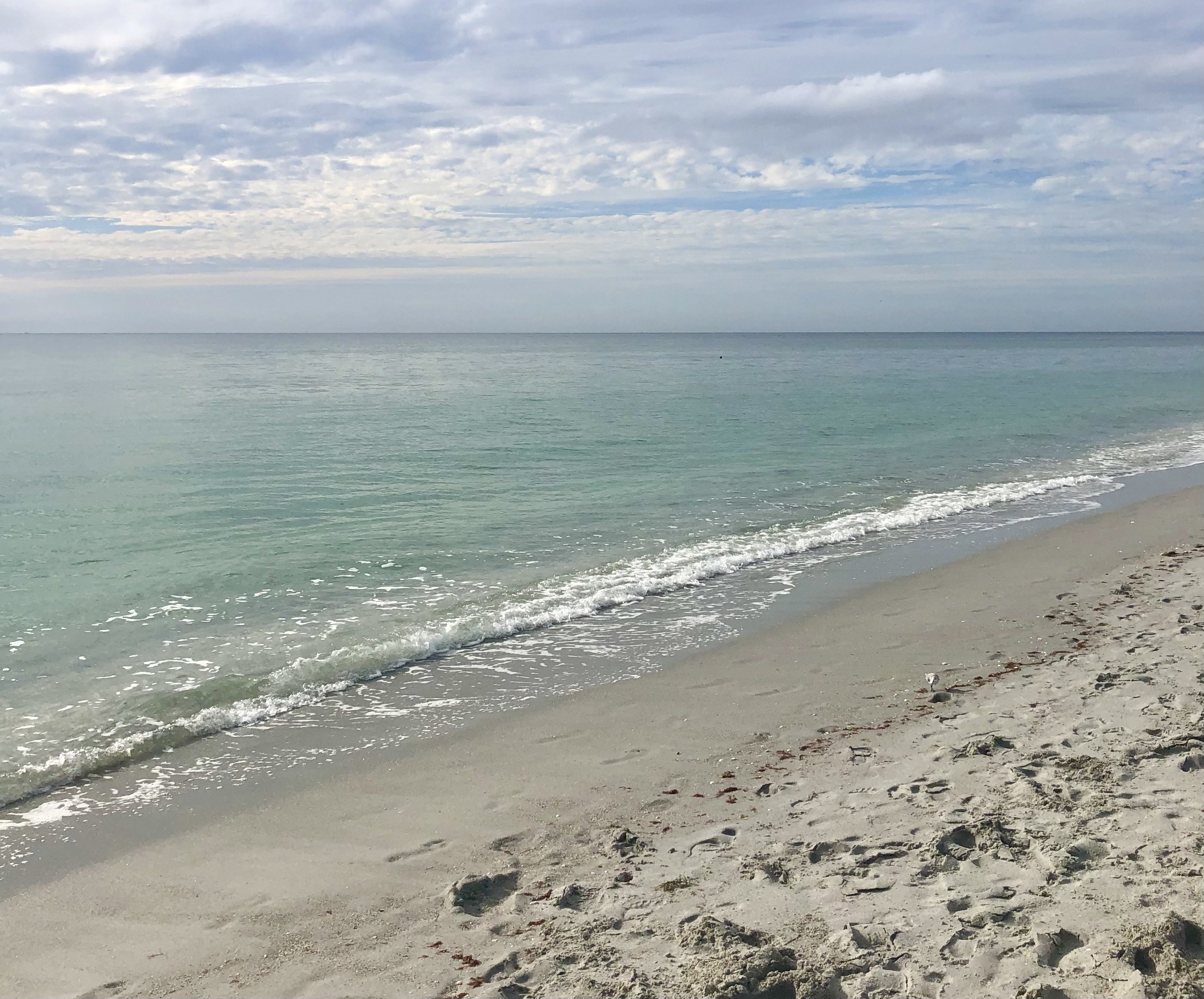 Beach on Manasota Key