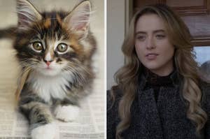 A cat is on the left with a character from "The Society" on the right