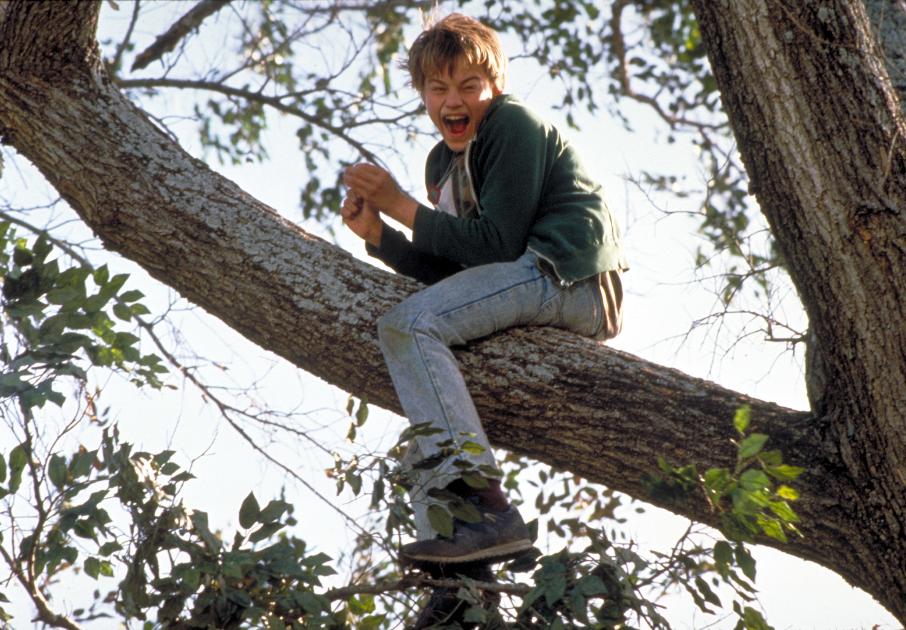 Leonardo DiCaprio screams while sitting in a tree