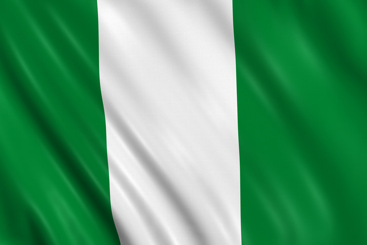 the nigerian flag