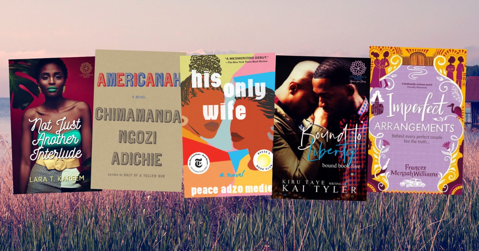 16 African Romance Novels That Are Bound To Keep You Warm And Cozy This