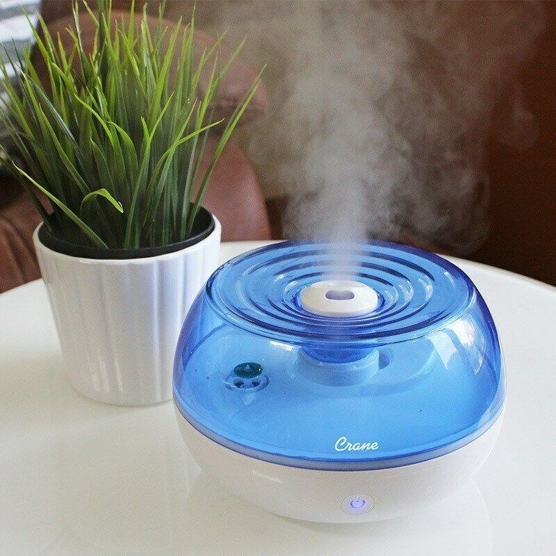 Blue Crane air purifier on table next to plant