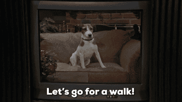 Dog saying let&#x27;s go for a walk