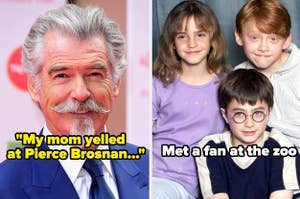Pierce Brosnan with caption "My mom yelled at Pierce Brosnan" and the Harry Potter kids with caption "hung out with a dan at the zoo"