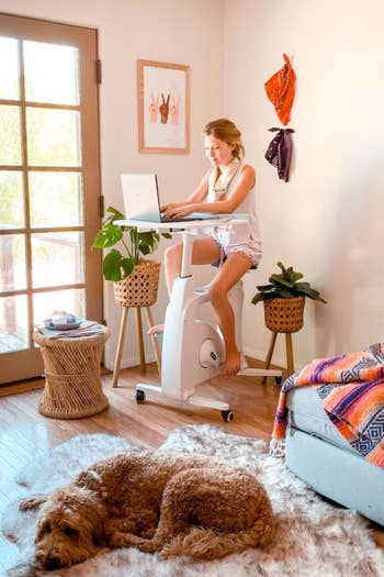 reviewer sits on white rolling desk bike while typing on computer next to plant stands and large window doors