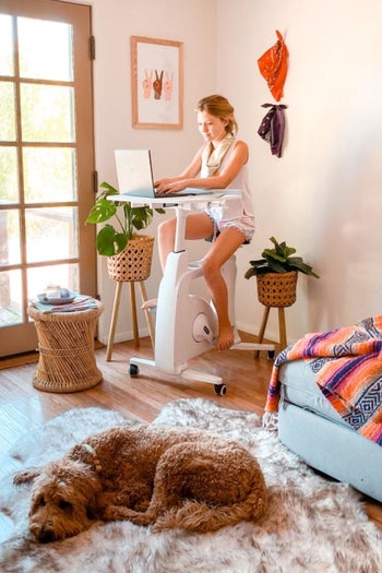 reviewer sits on white rolling desk bike while typing on computer next to plant stands and large window doors