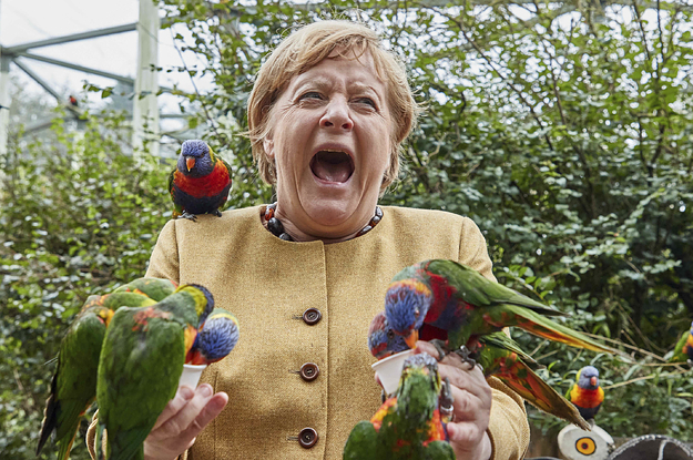 These Pics Of Angela Merkel Covered In Birds Are Now A Meme And It’s Sehr Gut