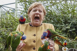 Merkel screams in agony as the birds swamp her and bite her hands