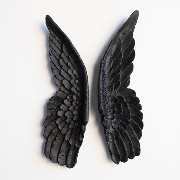 the wings in black