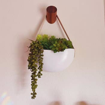 close up of the wooden hook holding a hanging plant