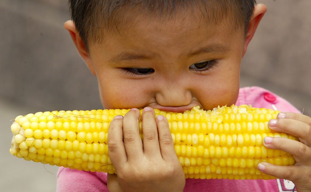 a child eating an ear of corn