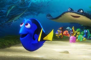 dory and the school of fish