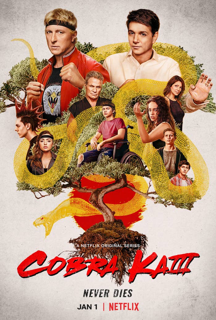 The promo poster for Cobra Kai featuring the cast illustrated and intertwined with a cobra