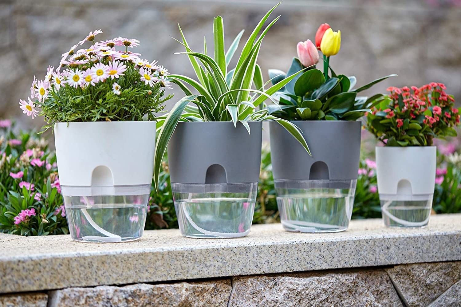 a set of self-watering plant pots on a garden wall