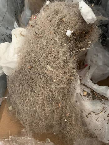 A reviewer's trash full of dust and pet hair